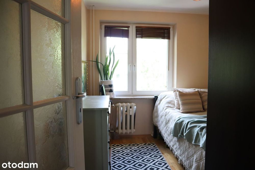 45,90 m², aż 3 pokoje. Przytulne mieszkanie na Antoniuku | 0% prowizji - Widok 6