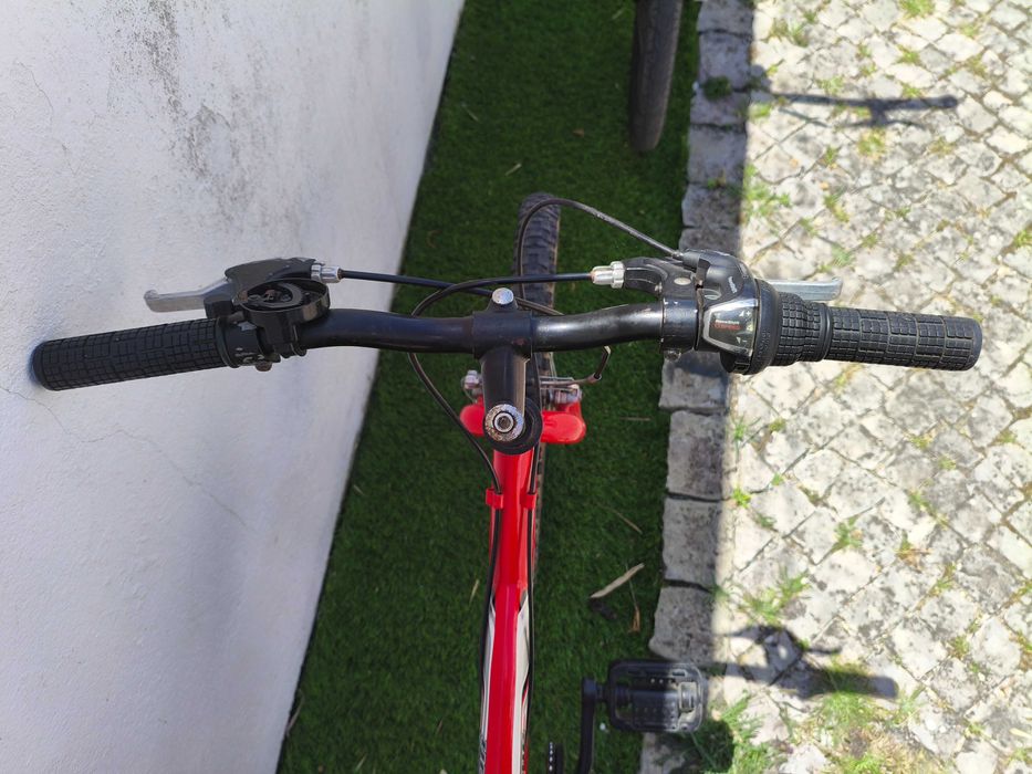 Bicicleta infantil aro 20