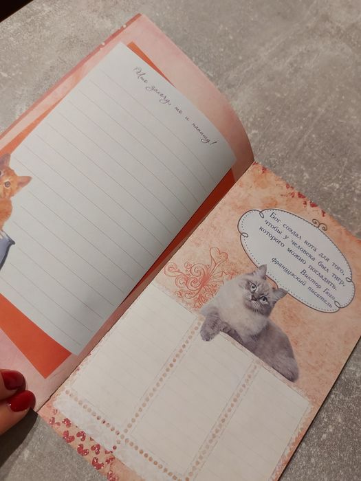 Котики набір котик  блокнот гребінець расческа