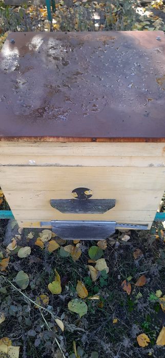 улики, лежаки, корпусні 12, вулики