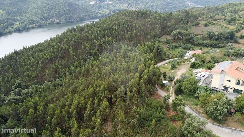 Terreno  para venda — Sebolido, Porto