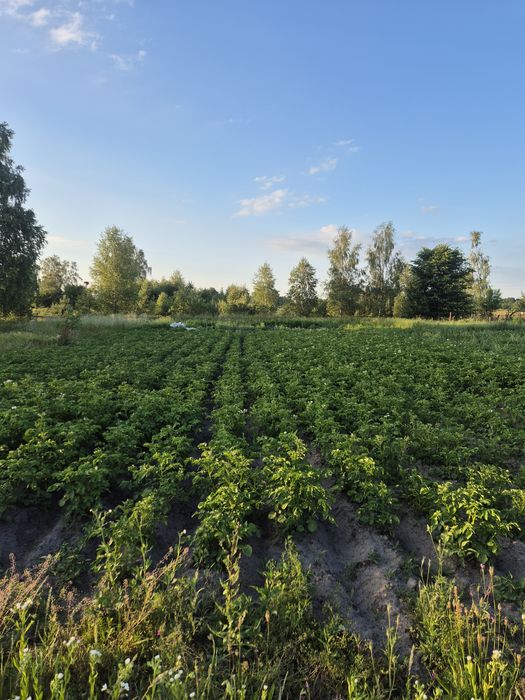 Продам будинок в с. ХРЯСЬК - View 5