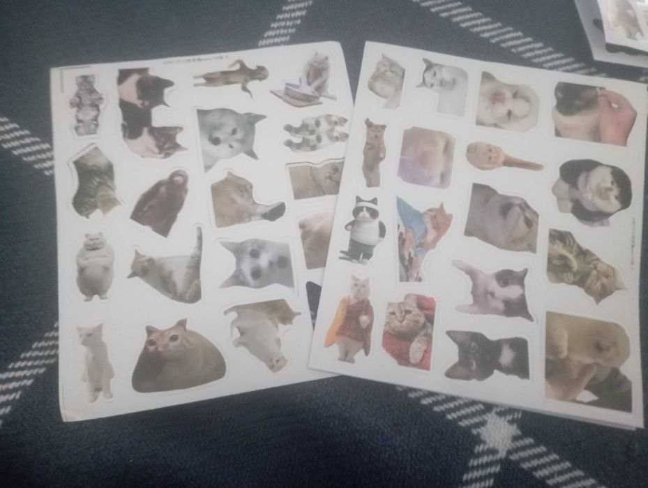 наклейки з котами