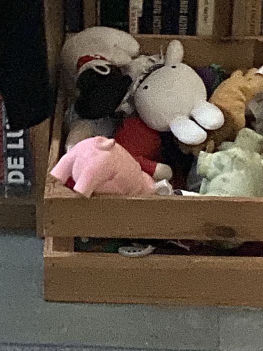 Zabawki dla psa suoeriwe