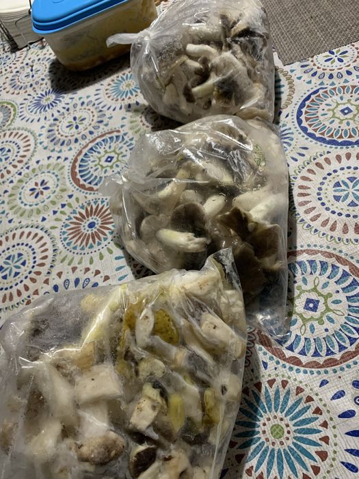 Tenho oara venda miscaros ja limpos