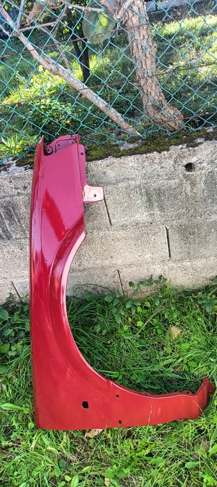 Rover (Paralama ) conservado