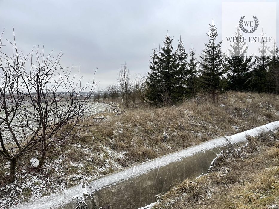 Оренда ділянки біля дороги с.Мишковичі