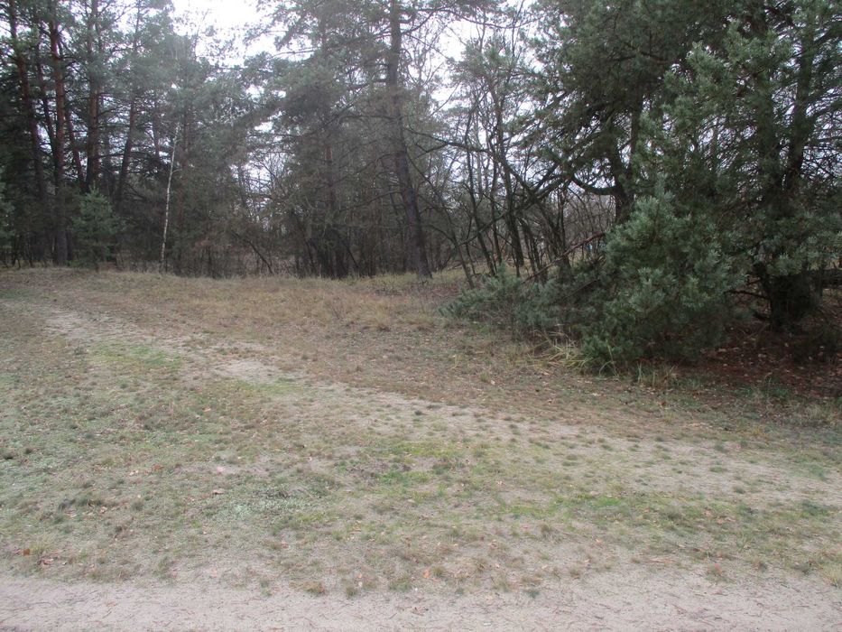 Продаж земельної ділянки 22,47 сот. Київська обл., с.Жукин  9100$