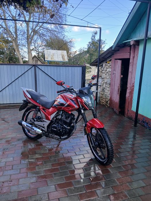 Musstang Region mt 08