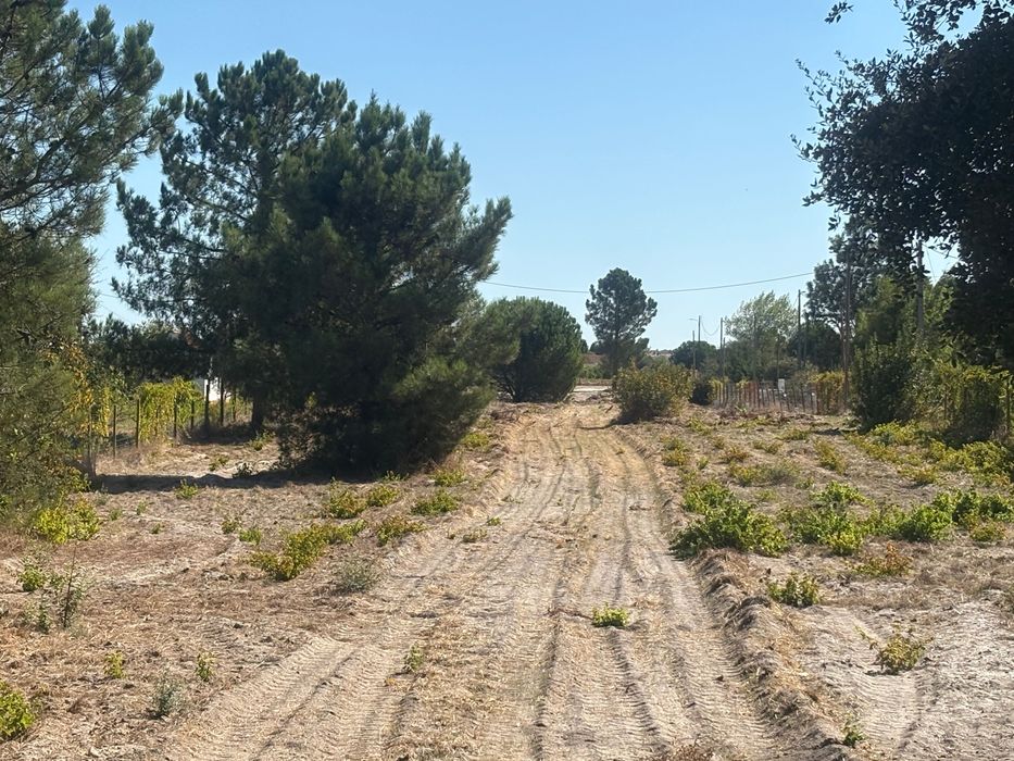 Terreno com 7.000 metros quadrados