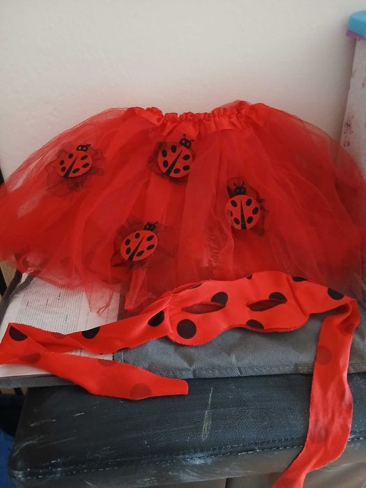 Roupa carnaval de joaninha