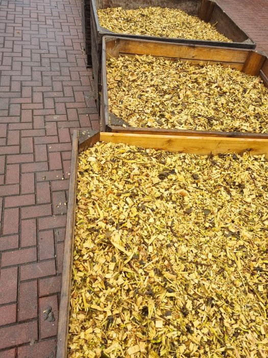 Wynajem Rębak, rozdrabniacz gałęzi forst ST6, jensen