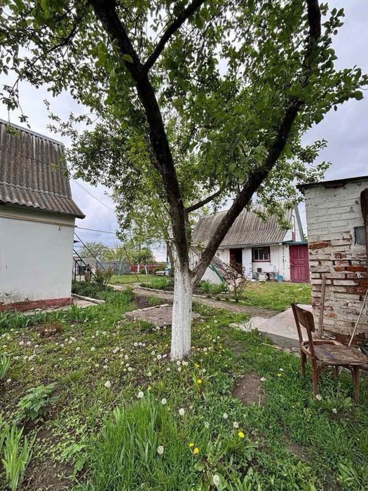 Продам будинок в селі Острійки,сертифікати