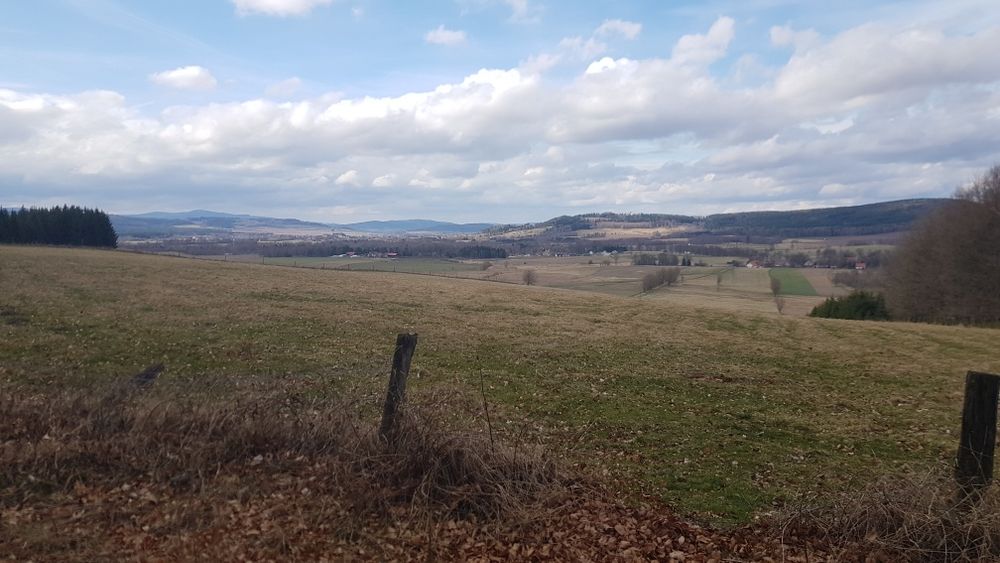 koszenie traw prace porządkowe tanio