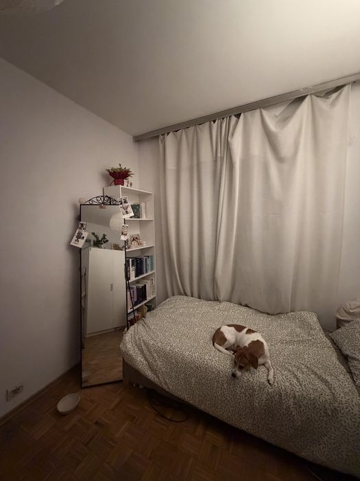 Pokój w centrum, PETFRIENDLY, duze mieszkanie