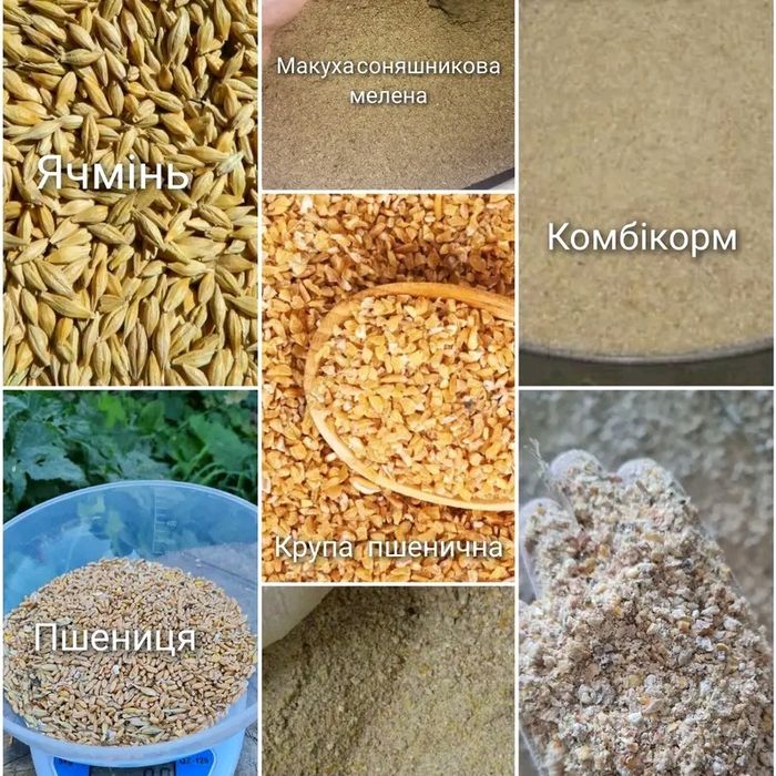 Пшениця,ячмінь,кукуруза, тазерносуміш дроблена