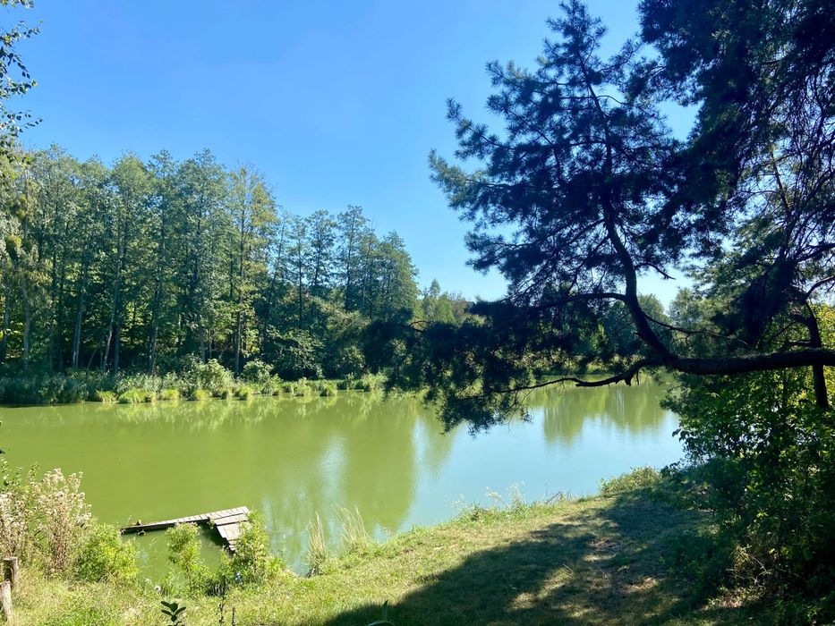 Шпитьки ТЕРЕЩЕНСЬКІ ОЗЕРА частина дуплексу 106 кв м + зем ділянка