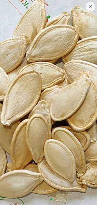 Насiння гарбуза украiнська багатопiдна 100 гр