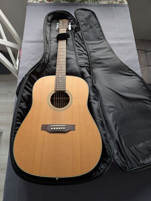 Gitara elektroakustyczna DOWINA D555