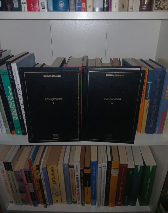 2 livros - Dom Quixote, Miguel de Cervantes