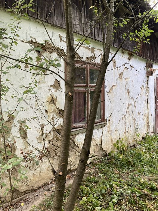 продам дачу з великою кількістю землі.