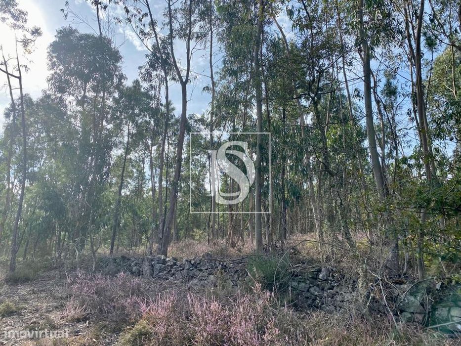 Terreno  Venda em Campo e Tamel (São Pedro Fins),Barcelos — Campo E Tamel (São Pedro Fins), Braga
