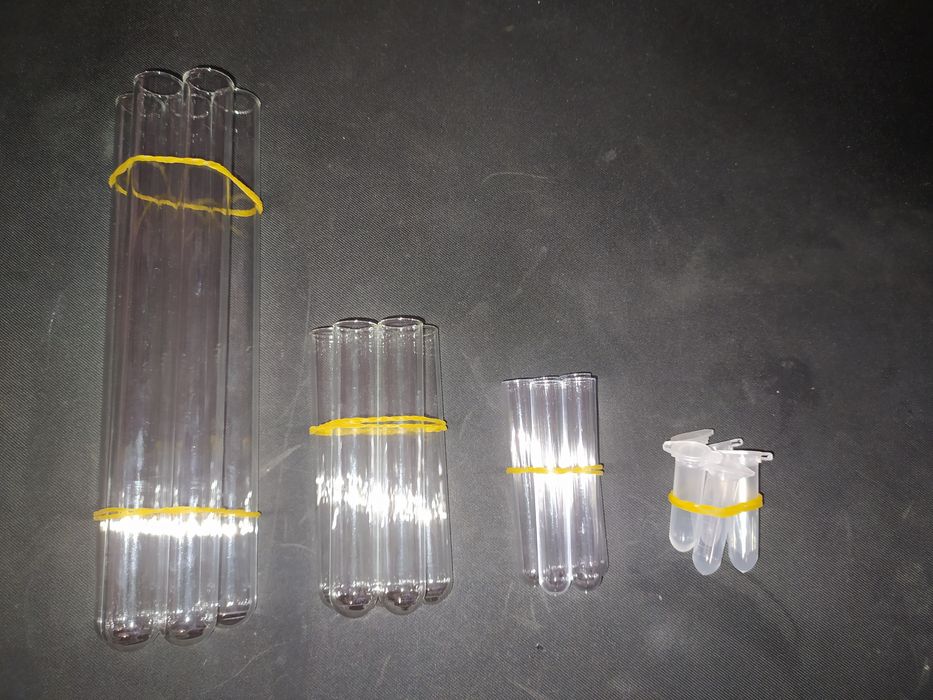 Probówki do mrówek