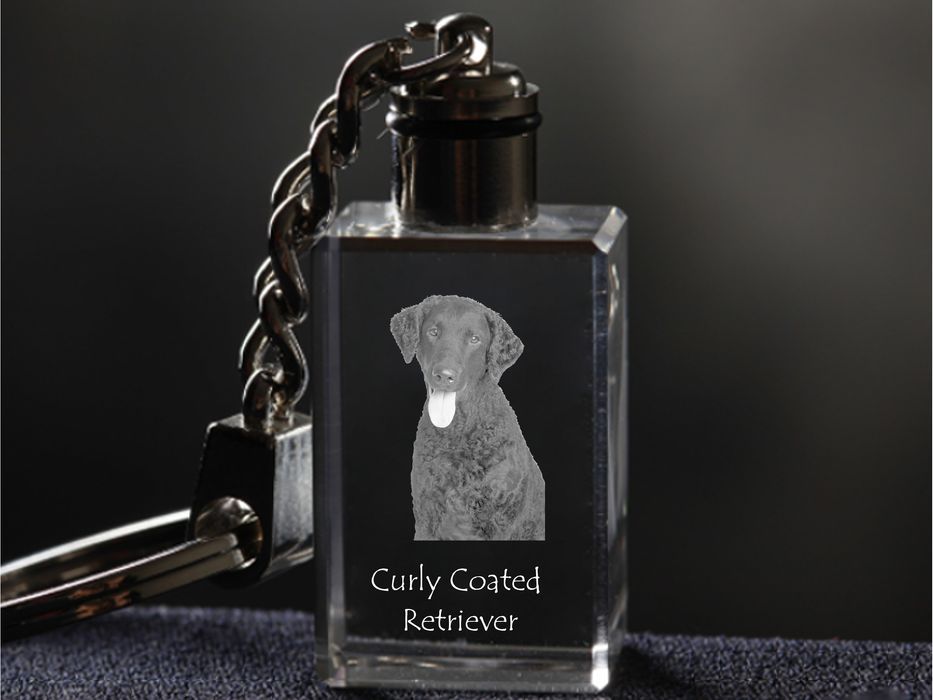Curly Coated Retriever brelok kryształowy z psem Art-Dog