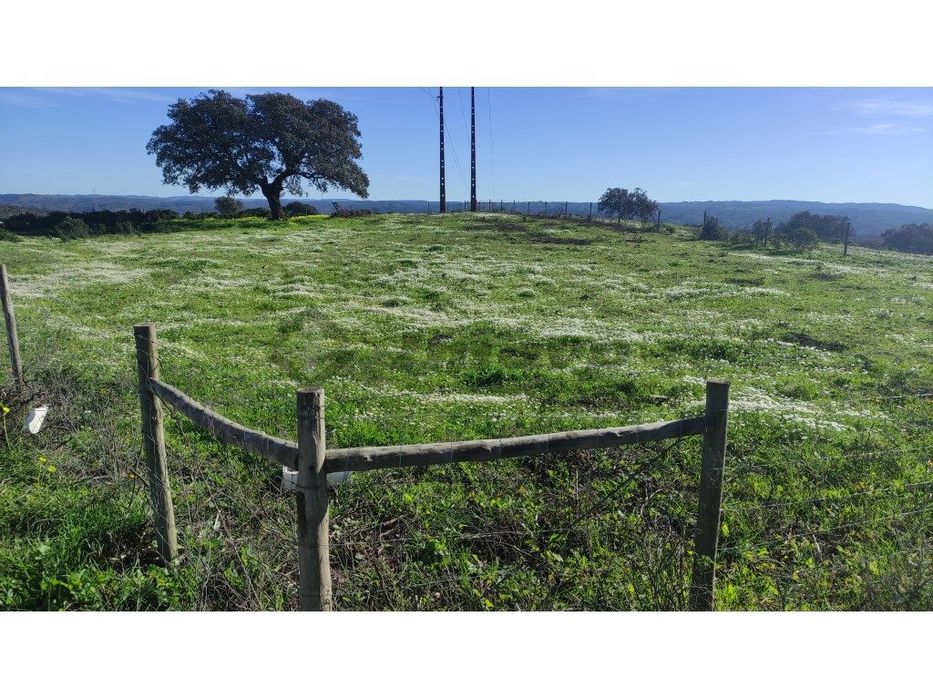 Terreno rústico de 0,775Ha localizado na Dogueno - Almodôvar