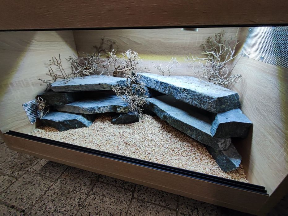 Terrarium 60x40x40 gekon lamparci jaszczurka PETMARKET