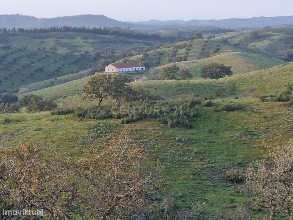 Monte Alentejano com 229 Hectares em Odemira