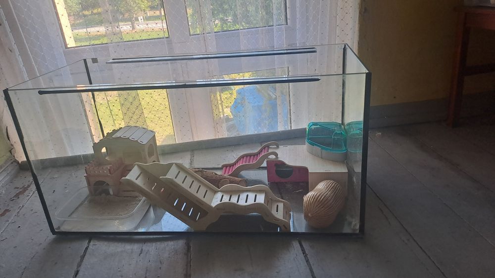 Akwarium, Terrarium dla gryzonia z wyposażeniem