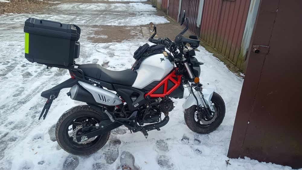 Romet pony 50 2024r euro 5