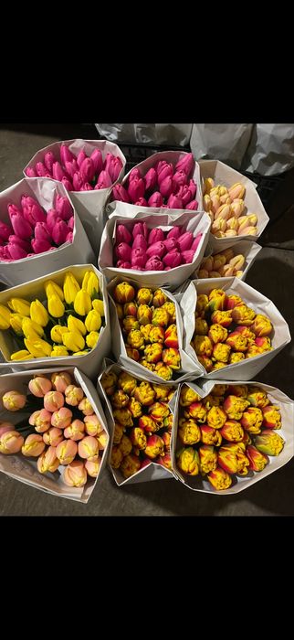 тюльпан до 14.02—8 марта