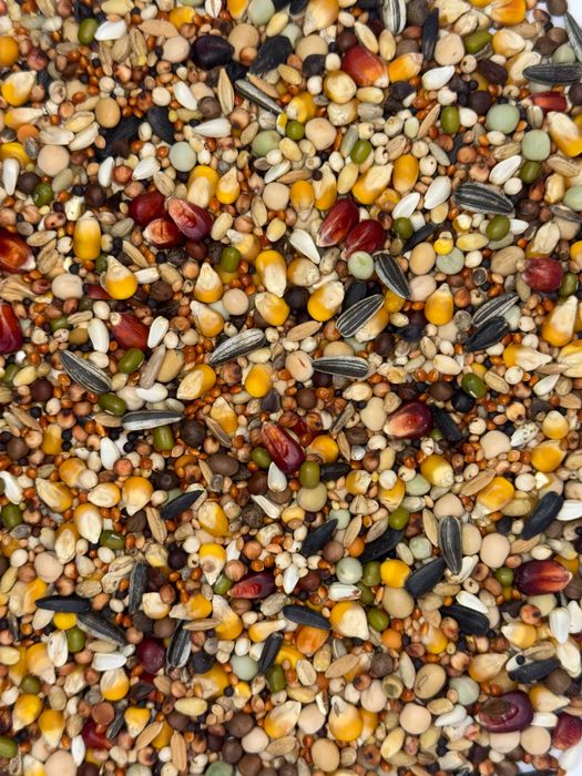 Karma dla gołębi Florczyk ROZPŁODOWO-PIERZENIOWA 25KG