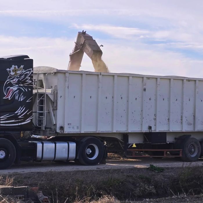 Granuleira Benalu 56m3