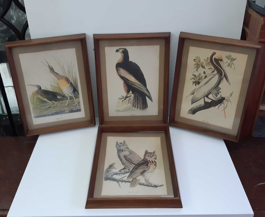 Retro Vintage Antigo 4 Quadros Molduras Madeira Lindas Gravuras Aves
