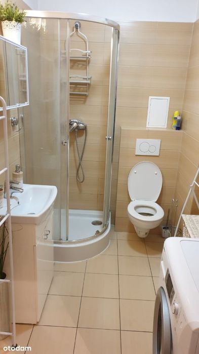 Do wynajęcia mieszkanie