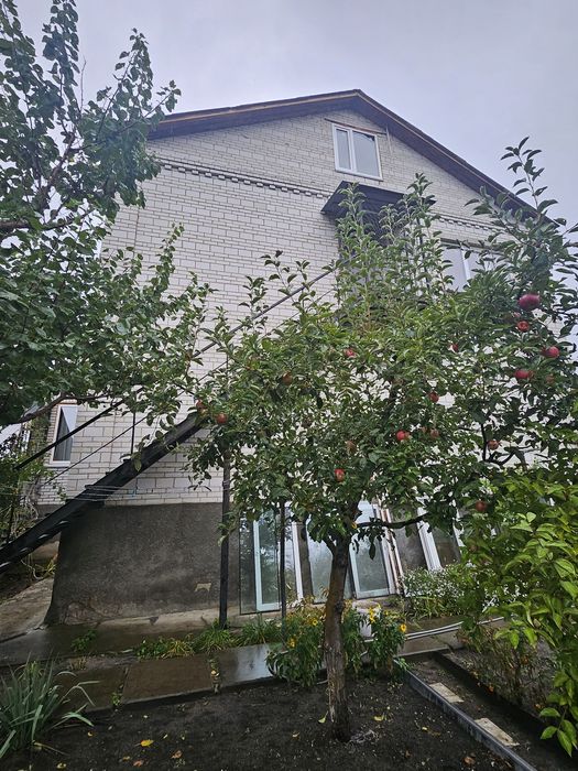 Будинок з ремонтом Центральний парк