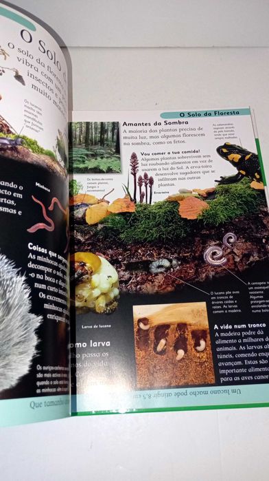Primeira Enciclopédia da Natureza