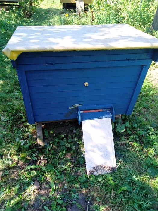 Sprzedam ul dla pszczół.