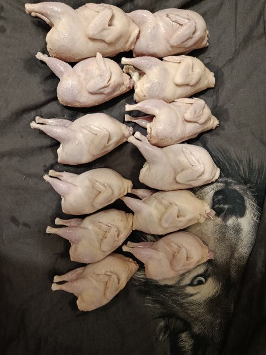 Тушки  перепелов