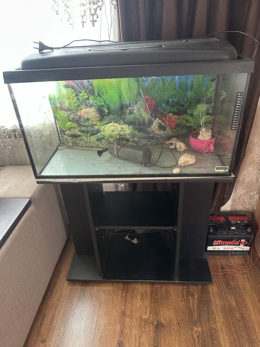 Аквариум з тумбочкой
