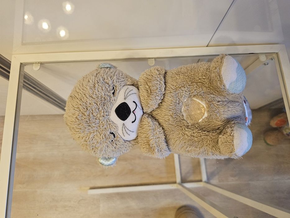 Wydra usypianka Fisher Price