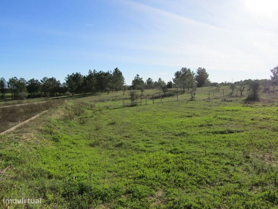 Lotes para Construção - preço por lote: 32 500 €