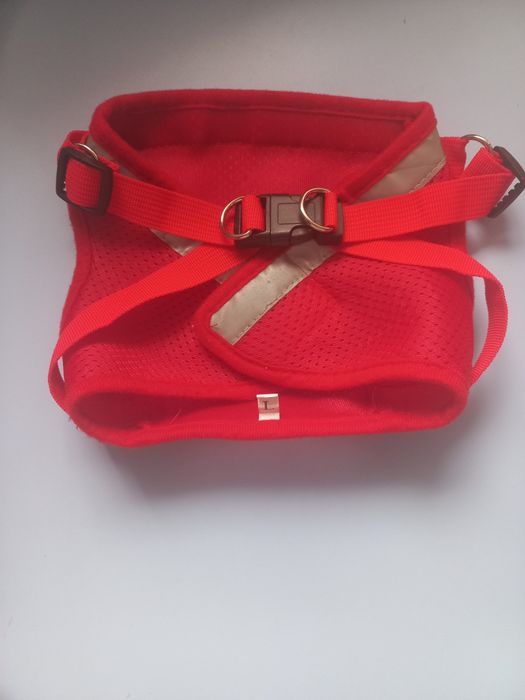 Шлея жилет ошийник