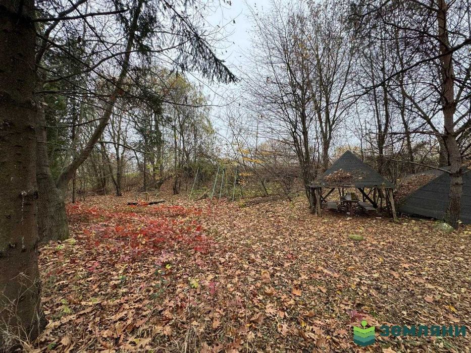 Земельна ділянка з приміщенням під комерцію Підлужжя (6)