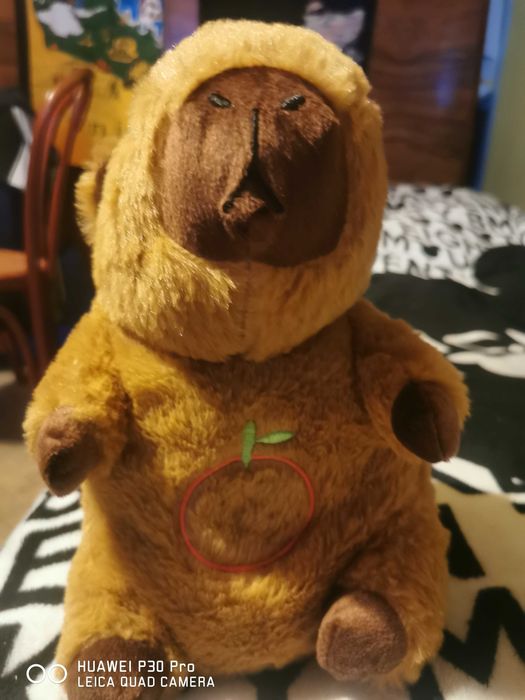 Interaktywna  kapibara pluszowa przytulanka-usypianka 40 cm .1-3 lata