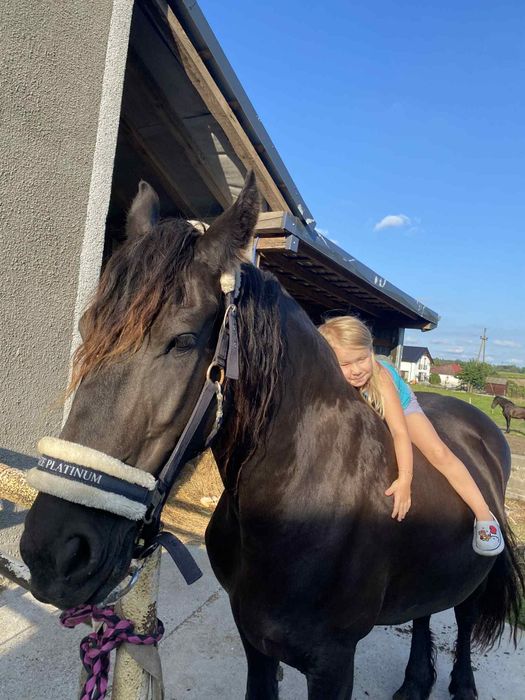 Jazdy konne w terenie