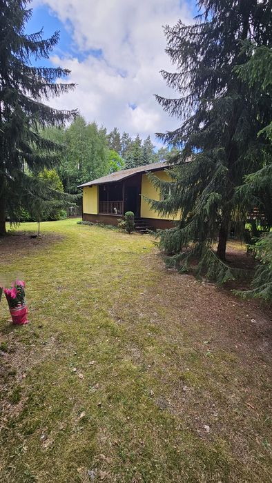Wyjątkowa działka z domkiem letniskowym 3 minuty od rzeki Bug – 700 m² Brańszczyk